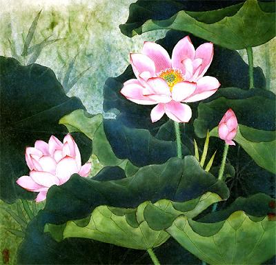 Hoa sen với Đạo Phật