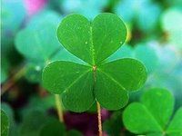 Truyện ngắn & Tạp bút Viên Nhật