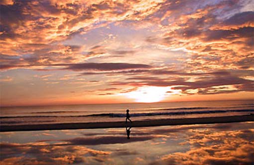 Những Mảnh Đời Luân Lạc